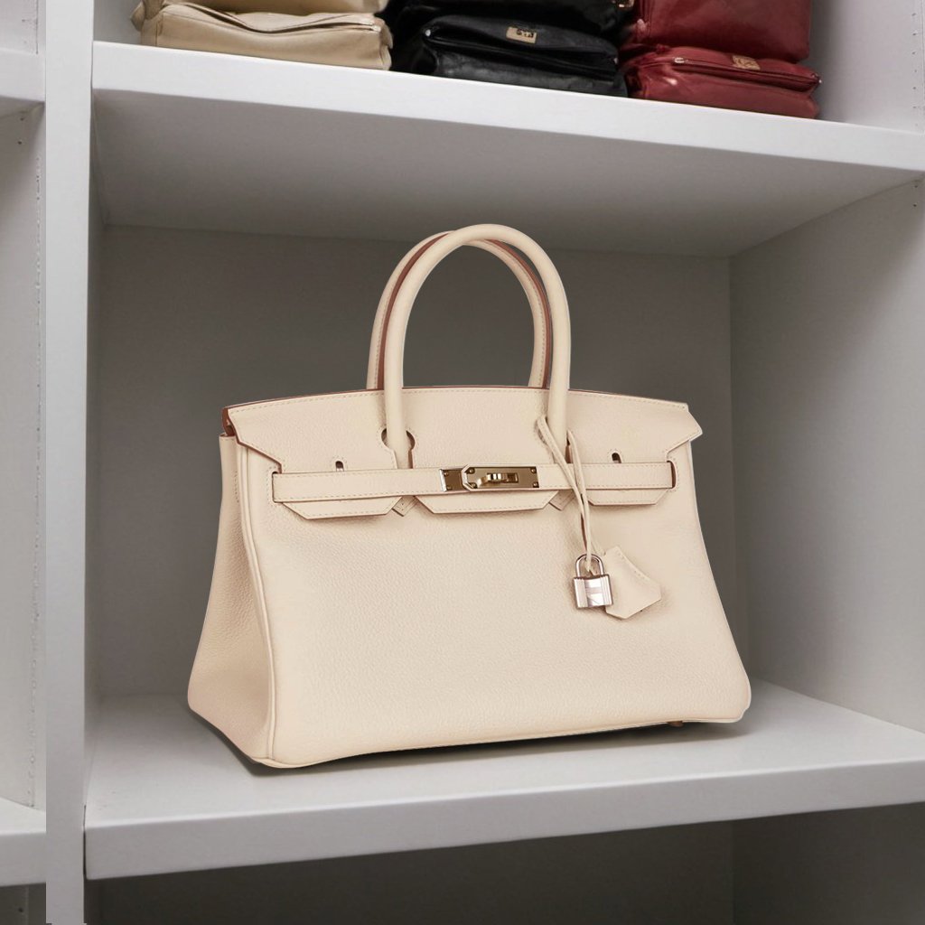 Luxury Bag Care Essentials: Bag Organizers vs. Stuffing Pillows